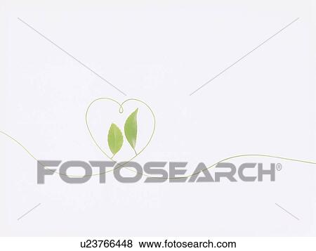 Stock Photo - Leaves and line forming heart, white background. Fotosearch