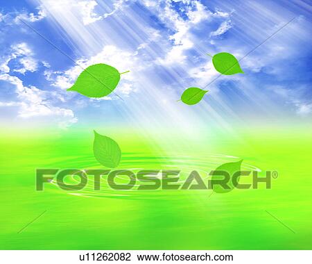 Leaves falling into rippled water View Large Photo Image Stock Image - Leaves falling into rippled water. Fotosearch