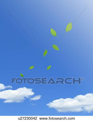 Stock Image - Leaves floating in the air. Fotosearch