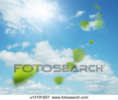 Leaves flying in a sunlit sky View Large Photo Image Stock Photo - Leaves flying in a sunlit sky. Fotosearch