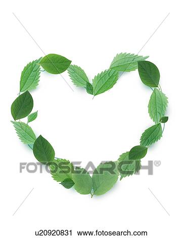 Leaves forming a heart shape View Large Photo Image Stock Image - Leaves forming a heart shape. Fotosearch