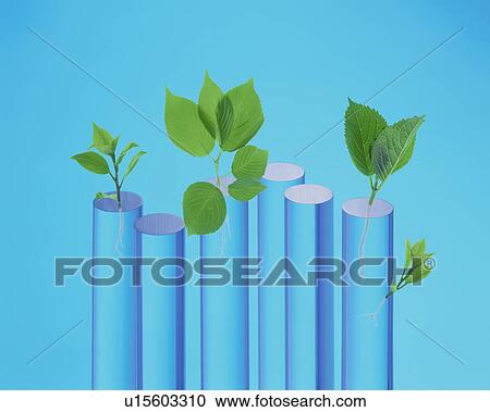Stock Image - Leaves growing in cylinders. Fotosearch