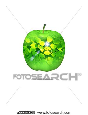 Stock Photo - Leaves in green apple. Fotosearch