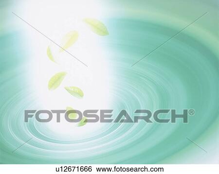 Leaves in light of vortex View Large Photo Image Stock Photograph - Leaves in light of vortex. Fotosearch
