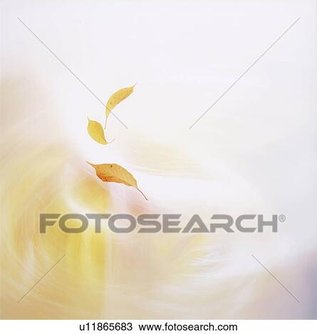 Stock Image - Leaves in red. Fotosearch