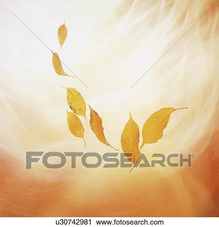 Stock Image - Leaves in red. Fotosearch