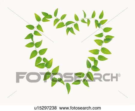 Leaves making heart, white background View Large Photo Image Stock Photo - Leaves making heart, white background. Fotosearch