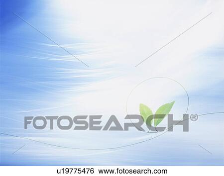Stock Photograph - Leaves on line forming circle, blue background. Fotosearch