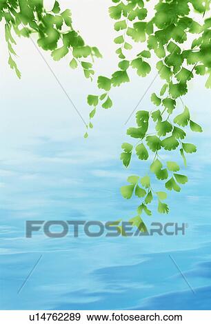 Leaves over water View Large Photo Image Stock Photo - Leaves over water. Fotosearch