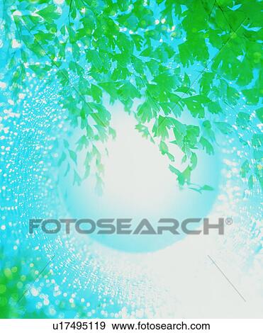 Stock Photo - Leaves over water. Fotosearch