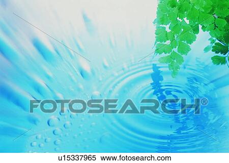 Stock Photography - Leaves over water. Fotosearch