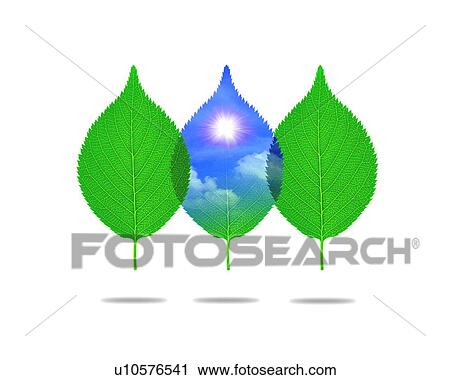 Stock Image - Leaves with image of sky, computer graphic, white background. Fotosearch