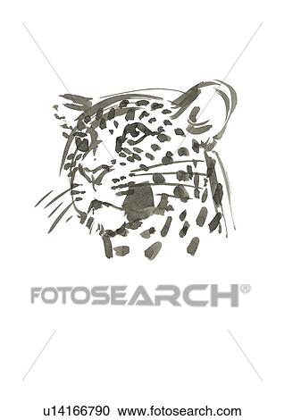 Stock Image - Leopard Head, Black Ink Illustration. Fotosearch