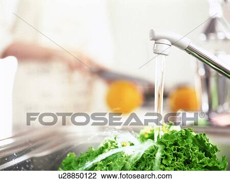 Lettuce under running tap water View Large Photo Image Stock Image - Lettuce under running tap water. Fotosearch