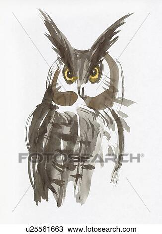 Long Eared Owl, Water Color Painting View Large Photo Image Stock Image - Long Eared Owl, Water Color Painting. Fotosearch