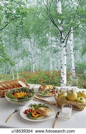 Lunch meal arranged on table in forest View Large Photo Image Picture - Lunch meal arranged on table in forest. Fotosearch