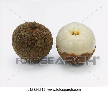Lychee, white background View Large Photo Image Stock Photo - Lychee, white background. Fotosearch