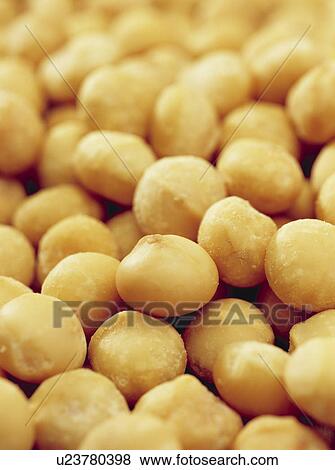 Stock Photo - Macadamia nuts. Fotosearch