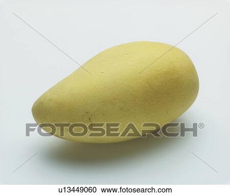 Mango on white background View Large Photo Image Stock Image - Mango on white background. Fotosearch
