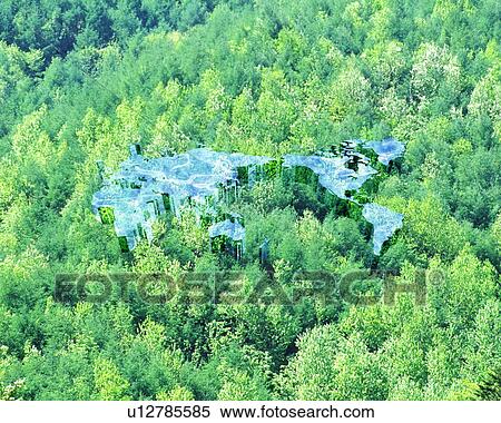 Stock Photography - Map of the world over a forest. Fotosearch