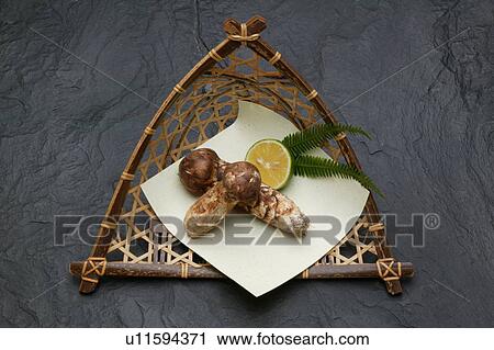 Matsutake mushrooms on colander, black background View Large Photo Image Stock Image - Matsutake mushrooms on colander, black background. Fotosearch