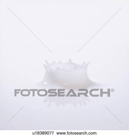 Milk splashing, close up, white background View Large Photo Image Stock Photo - Milk splashing, close up, white background. Fotosearch