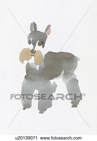Stock Image - Miniature Schnauzer, Water Color Painting. Fotosearch