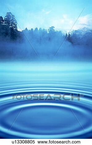 Stock Photography - Misty water with trees in background. Fotosearch