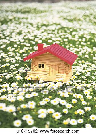 Stock Image - Model of house on flower field. Fotosearch