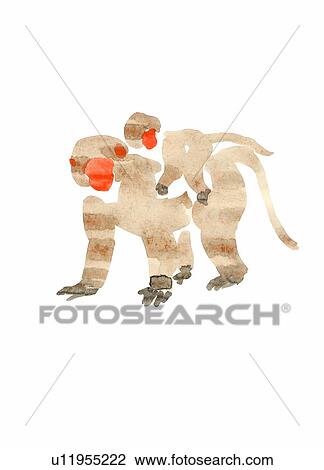 Monkey carrying a baby View Large Photo Image Stock Image - Monkey carrying a baby. Fotosearch