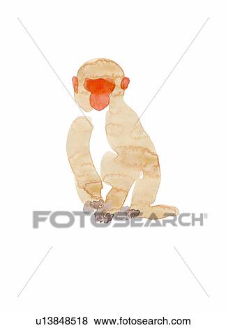 Stock Photo - Monkey sitting. Fotosearch