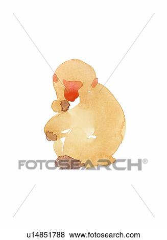 Stock Photo - Monkey sitting. Fotosearch