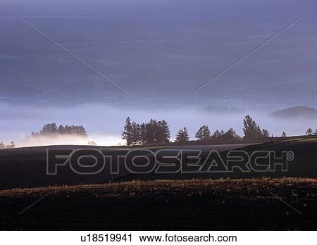Stock Image - Morning Mist Over Hill. Fotosearch