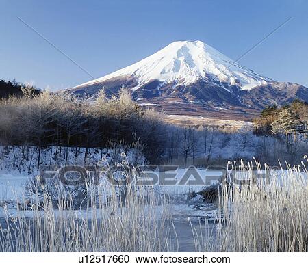 Mt. Fuji in winter, Oshino village, Yamanashi prefecture, Japan View Large Photo Image Stock Image - Mt. Fuji in winter, Oshino village, Yamanashi prefecture, Japan. Fotosearch