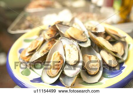 Stock Photo - Mussels on a Platter. Tokyo Prefecture, Japan. Fotosearch