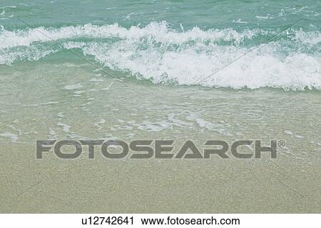 Nagata beach, Yakushima island, Kagoshima prefecture, Japan View Large Photo Image Stock Image - Nagata beach, Yakushima island, Kagoshima prefecture, Japan . Fotosearch