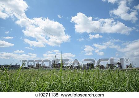 Stock Photography - Office buildings from field, Tokyo prefecture, Japan. Fotosearch