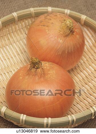 Onions on colander View Large Photo Image Stock Photo - Onions on colander. Fotosearch