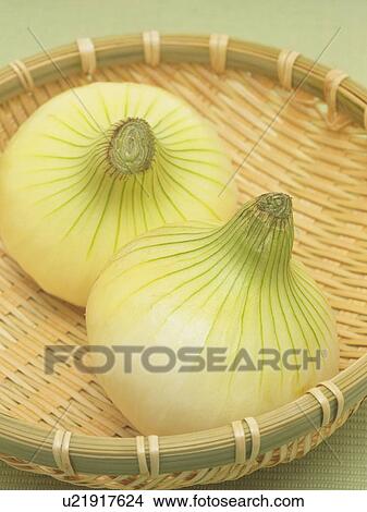 Picture - Onions. Fotosearch