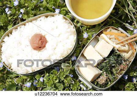 Picture - Packed lunch on grass. Fotosearch