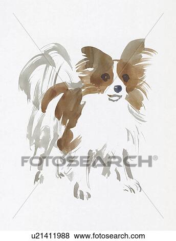 Stock Photo - Papillon, Water Color Painting. Fotosearch
