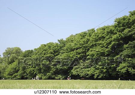 Park and people playing, Setagaya ward, Tokyo Prefecture, Honshu, Japan View Large Photo Image Stock Image - Park and people playing, Setagaya ward, Tokyo Prefecture, Honshu, Japan . Fotosearch