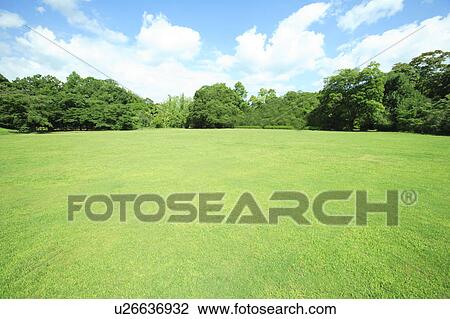 Stock Image - Park, Kyoto City, Kyoto Prefecture, Honshu, Japan. Fotosearch