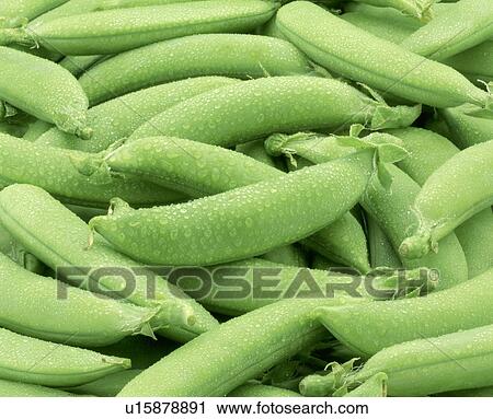 Pea pods, full frame View Large Photo Image Stock Image - Pea pods, full frame. Fotosearch