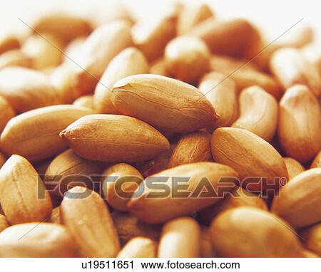 Stock Image - Peanuts. Fotosearch