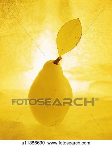 Stock Image - Pear, yellow background. Fotosearch
