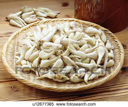 Stock Photography - Pearl onions. Fotosearch