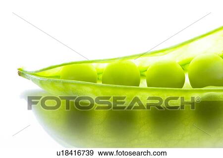 Peas in pod View Large Photo Image Stock Photo - Peas in pod. Fotosearch