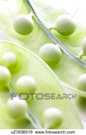 Stock Photo - Peas in pod. Fotosearch