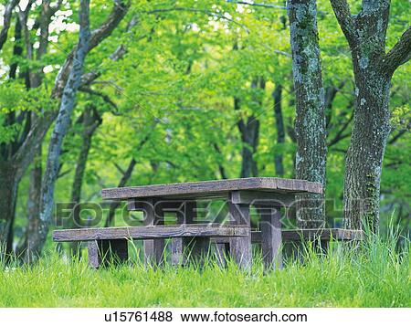 Stock Photo - Picnic table in the woods. Fotosearch
